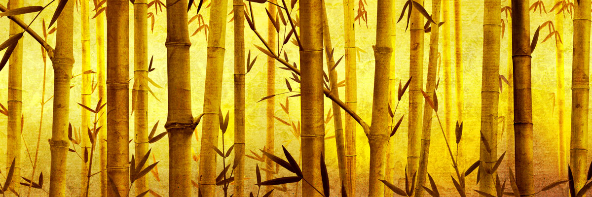 SCENERY Bamboo`BM-1